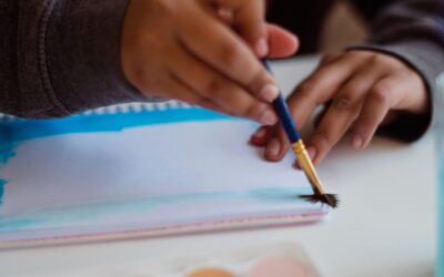 What is Knowledge Management and why is it important?