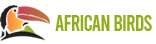 African Bird
